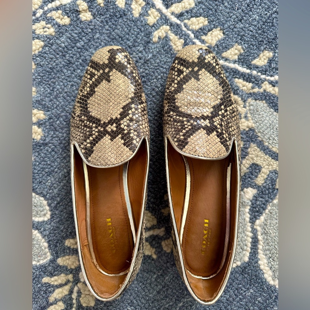 Coach snakeskin loafers. Beautiful condition. Bottoms worn a little.